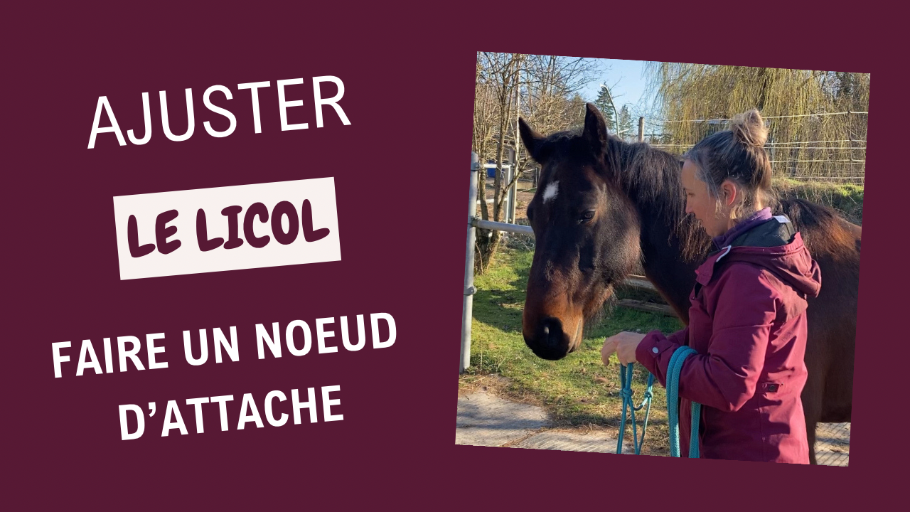 Comment ajuster le licol en corde et faire un noeud d'attache - educ-horse